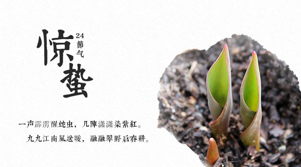 餐飲空間設(shè)計你現(xiàn)在不搞，那要等什么時候搞