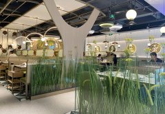 餐廳生意不好應該怎么辦，餐飲老兵的8條建議：其中有幾條餐飲人都踩過！